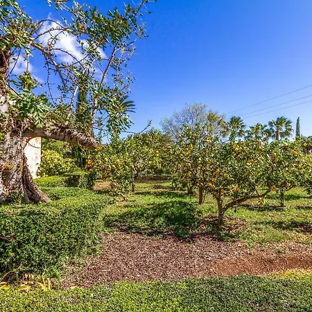 Villa Martorell Pollensa Mallorca